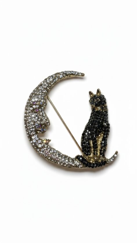 Broche Gato sobre la Luna